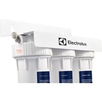 Electrolux AquaModule Carbon 2in1 Prof