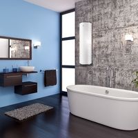 Electrolux EWH 50 Fidelity