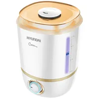 Hyundai Crocus H-HU1M-4.0-UI045