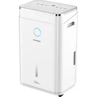 Hyundai Sahara P84WF