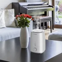 Hyundai Tulip H-HU8M-4.0-UI184