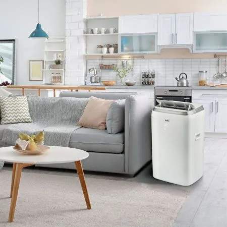 Кондиционер мобильный Ballu Platinum Comfort BPHS-08H 13666
